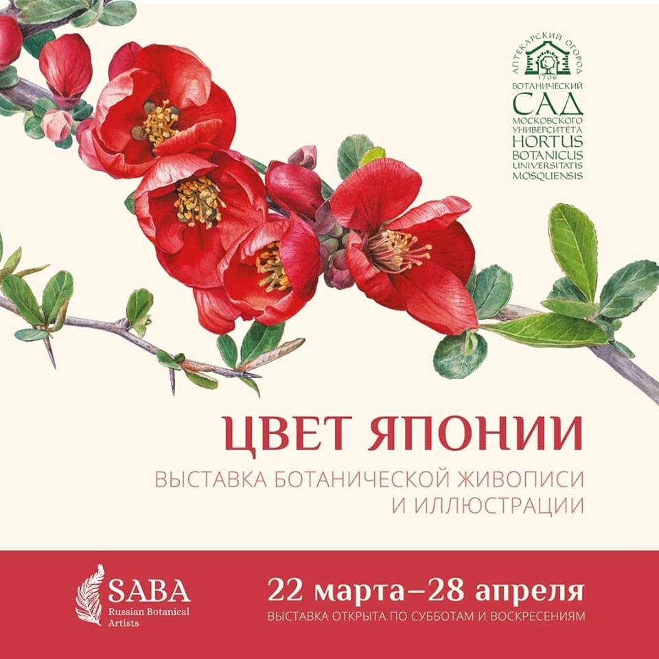 Выставка ботанической живописи «Цвет Японии» — с 22 марта до 28 апреля в «Аптекарском огороде»