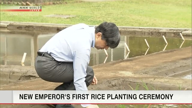 Император Нарухито провел первую церемонию посадки риса