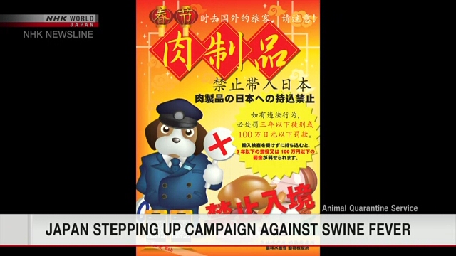 В Японии идет активная кампания против распространения африканской чумы свиней