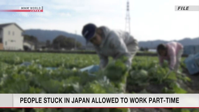 Людям, вынужденным находиться в Японии, позволили работать на условиях неполной занятости