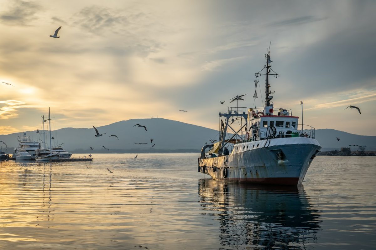 Экспорт рыбной продукции из Приморья и Сахалина увеличился на 22%