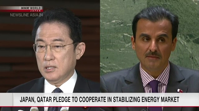 Япония и Катар будут сотрудничать в целях стабилизации рынка энергоносителей