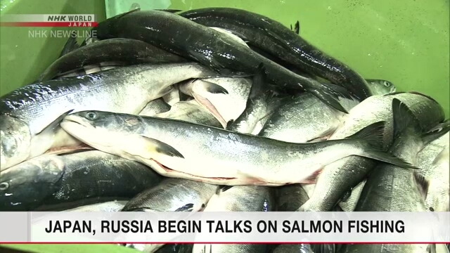 Япония и Россия начинают переговоры о промысле лососевых