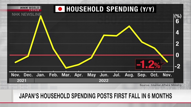 Рост цен сказывается на расходах японских домохозяйств