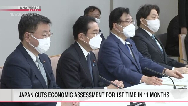 Япония понизила оценку экономики впервые за 11 месяцев
