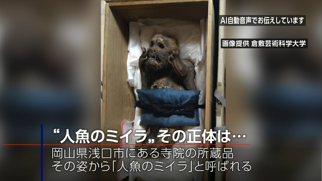 Японские ученые раскрыли тайну мумии «обезьяны-русалки» из буддийского храма