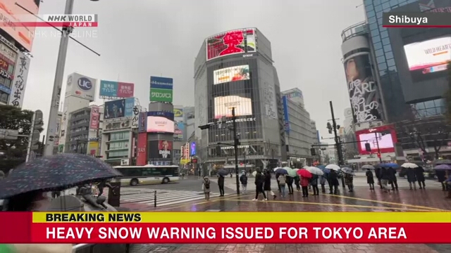 Синоптики выпустили предупреждение о сильных снегопадах для центральных районов Токио