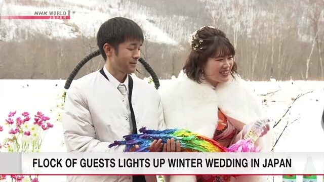 В префектуре Хоккайдо провели бракосочетание на фоне японских журавлей