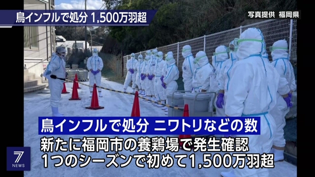 Этой зимой из-за птичьего гриппа в Японии было забито более 15 млн кур и других птиц
