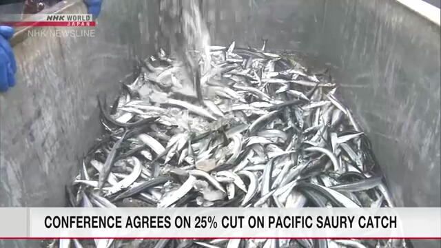 Делегаты конференции по рыболовству в Японии договорились сократить вылов тихоокеанской сайры на 25%
