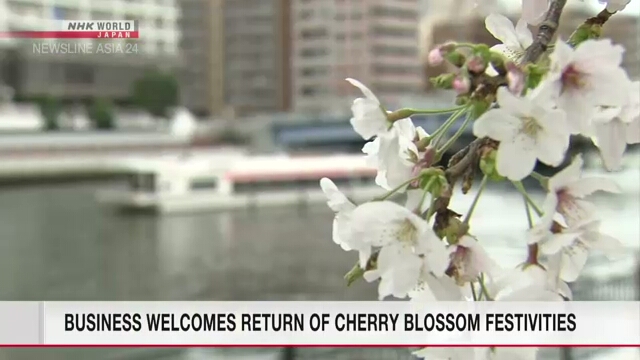 Японские деловые круги приветствуют возвращение в Японии к празднованиям по поводу цветения сакуры