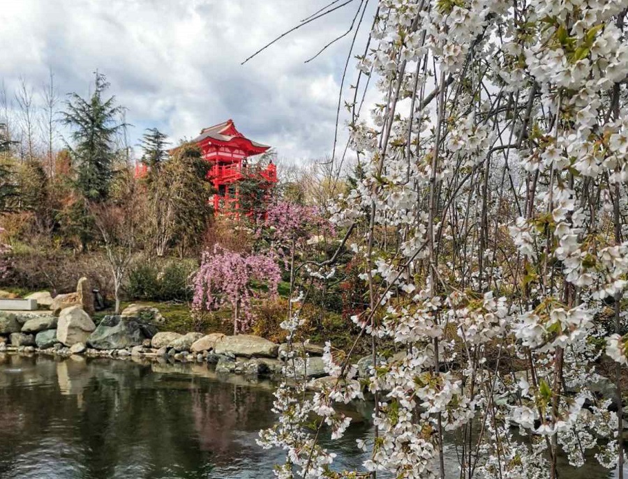 Огромную очередь из желающих попасть в Японский сад в парке Галицкого сняли на видео