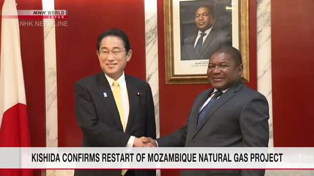 Лидеры Японии и Мозамбика договорились поддержать скорейшее возобновление проекта по добыче газа