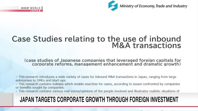 Япония ставит целью корпоративный рост за счет привлечения зарубежных инвестиций