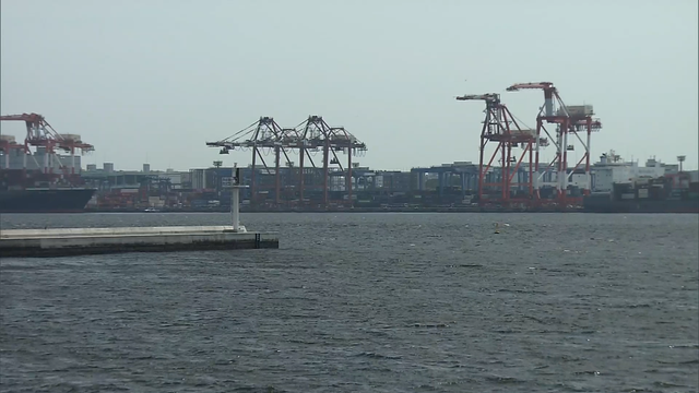 В токийском порту конфисковано 700 кг стимулирующего средства