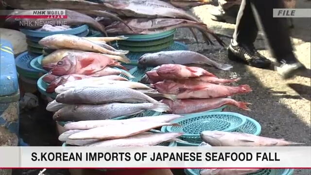 Южнокорейский импорт японских морепродуктов резко снизился перед началом сброса в океан обработанной воды с АЭС в префектуре Фукусима