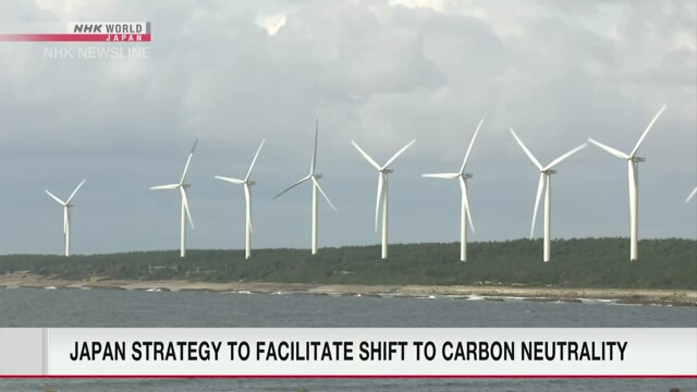 Япония планирует до конца июля выработать стратегию по активизации перехода к углеродной нейтральности