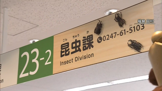В префектуре Фукусима создан центр жуков и насекомых для продвижения туризма