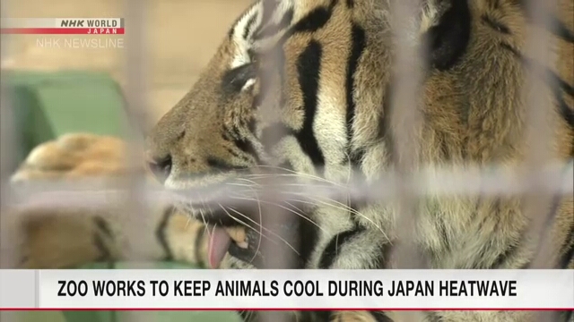Сотрудники зоопарка на юго-западе Японии пытаются защитить своих питомцев от палящего зноя