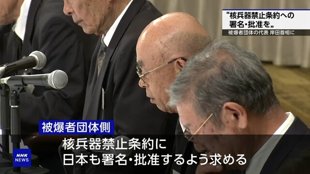 Выжившие после атомной бомбардировки попросили премьер-министра Японии подписать Договор ООН о запрещении ядерного оружия