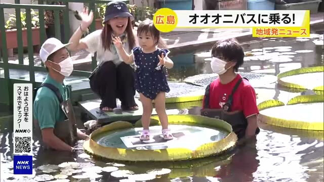 Хиросимские дети покатались на листьях гигантской водяной лилии