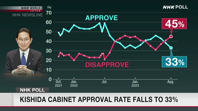 Опрос NHK: уровень поддержки кабинета Кисида упал до 33%
