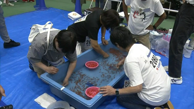 В состязаниях по ловле золотых рыбок в префектуре Нара приняли участие примерно 1.700 человек