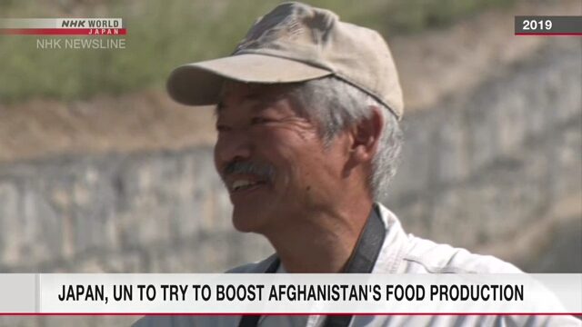 Япония поможет Афганистану улучшить сельское хозяйство