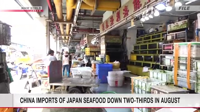 В августе импорт японских морепродуктов в Китай сократился на две трети