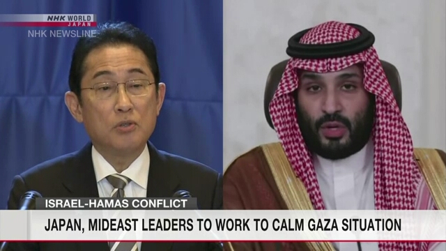 Япония и Саудовская Аравия договорились сотрудничать для ослабления напряженной ситуации в секторе Газа