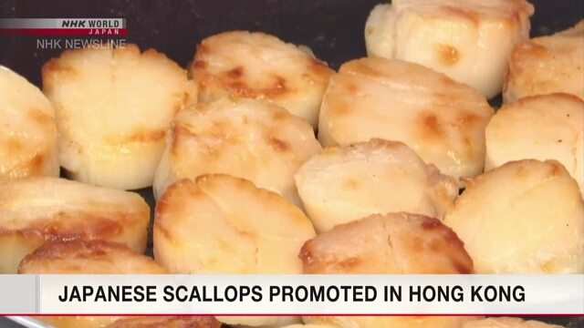 Жителей Гонконга бесплатно угостили морскими гребешками с Хоккайдо