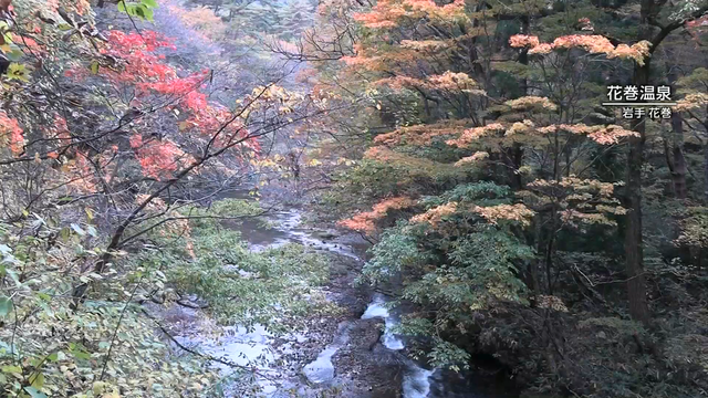 Посетители курорта с горячими источниками в префектуре Иватэ в Японии наслаждаются красотой осенней листвы