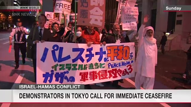 Участники демонстрации в Токио потребовали немедленного прекращения огня между Израилем и группировкой ХАМАС