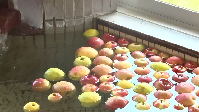Горячий источник на севере Японии предлагает посетителям «яблочную ванну»