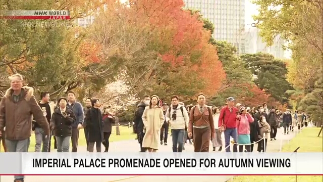 Территория Императорского дворца в Токио открыта для осеннего осмотра