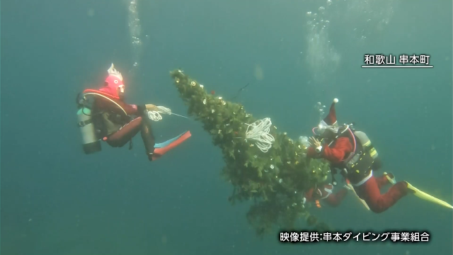 Рождественская елка установлена под водой в месте для дайвинга в префектуре Вакаяма