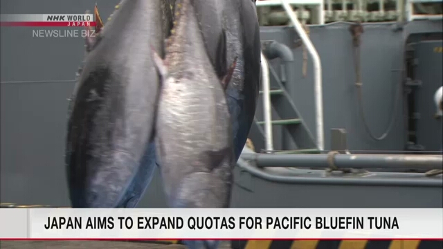 Япония планирует увеличить квоты на лов тихоокеанского голубого тунца