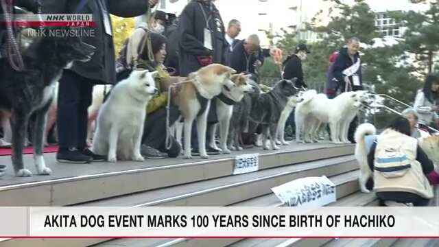 Собаки породы акита-ину прошли по улице токийского района Сибуя, чтобы отметить 100-летие со дня рождения Хатико