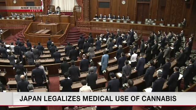 Парламент Японии ввел в действие законы, запрещающие использование каннабиса за исключением медицинских целей