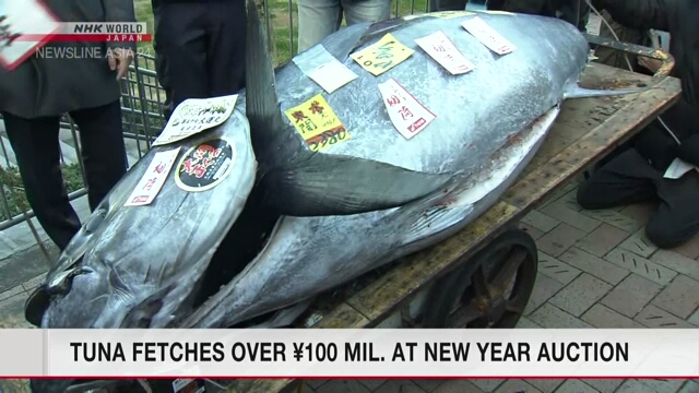 На первом в новом году рыбном аукционе в Японии тунец был продан более чем за 100 млн иен