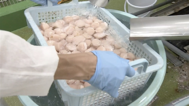 Японская компания морепродуктов стремится к диверсификации экспорта морского гребешка