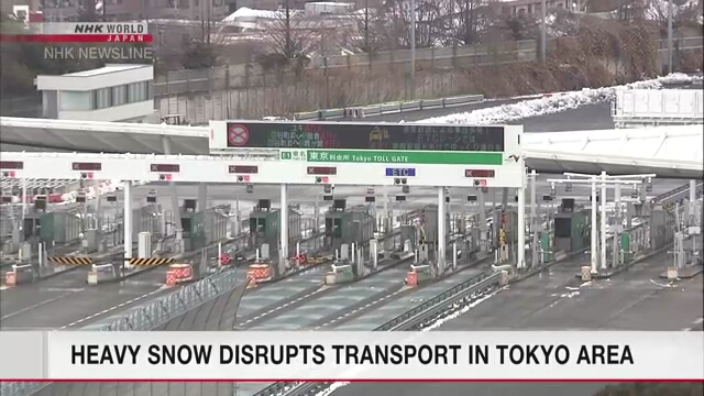 Снегопад в Токио привел к отключениям электроэнергии и нарушениям работы транспорта