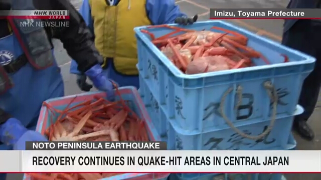 Поступил в продажу первый улов красных снежных крабов после землетрясения в центральной Японии