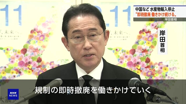 Кисида пообещал добиваться отмены Китаем запрета на импорт японских морепродуктов