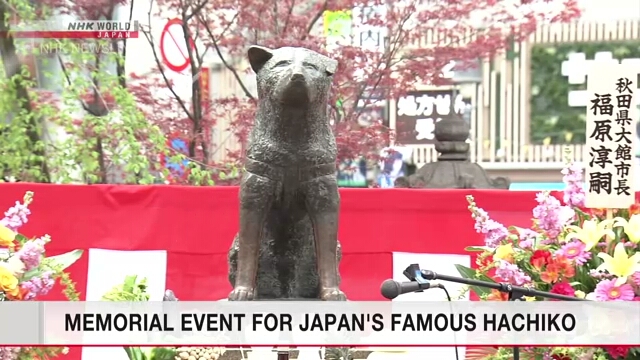 У станции Сибуя состоялась мемориальная церемония в память собаки Хатико, символа верности и преданности в Японии