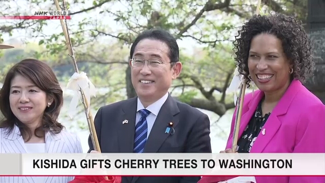 Кисида подарил столице США новые деревья сакуры