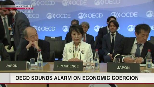 Министры стран ОЭСР бьют тревогу по поводу экономического принуждения