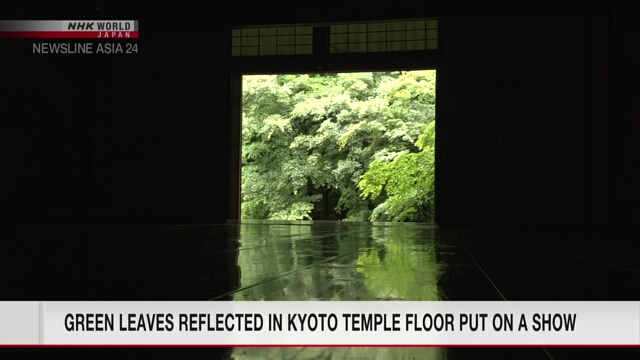 В буддийском храме в Киото посетители любуются отражением кленовых листьев на полу