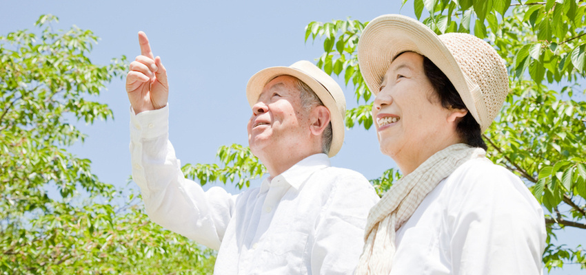 В Японии имеется более 67.000 долгожителей
