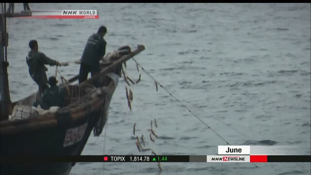 Япония усилит меры по пресечению незаконного рыболовного промысла